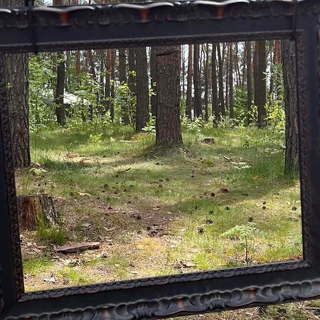 Gora Spokoju Osada Klimatyczna-Lesna Inowlodz Exterior foto