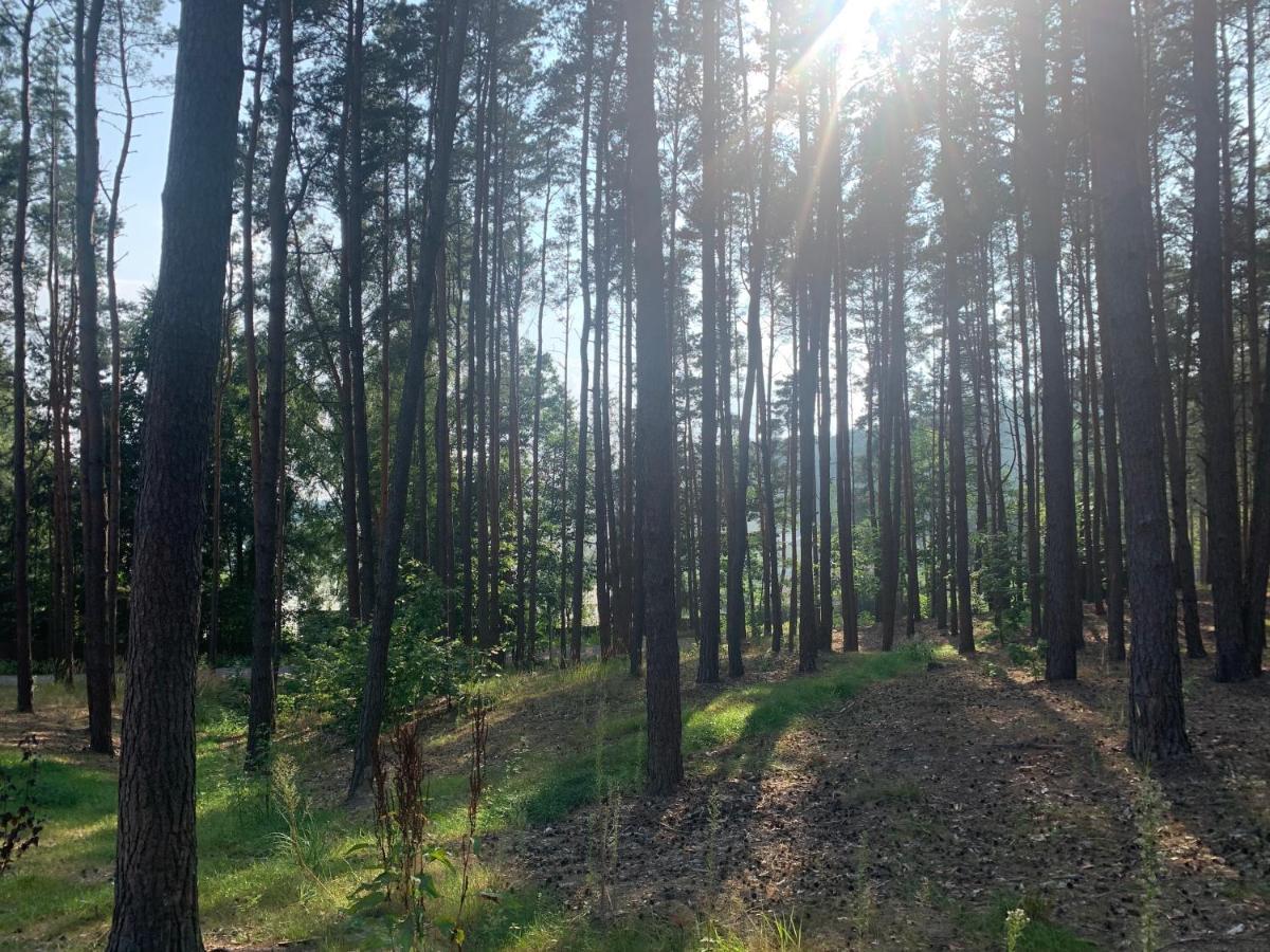 Gora Spokoju Osada Klimatyczna-Lesna Inowlodz Exterior foto
