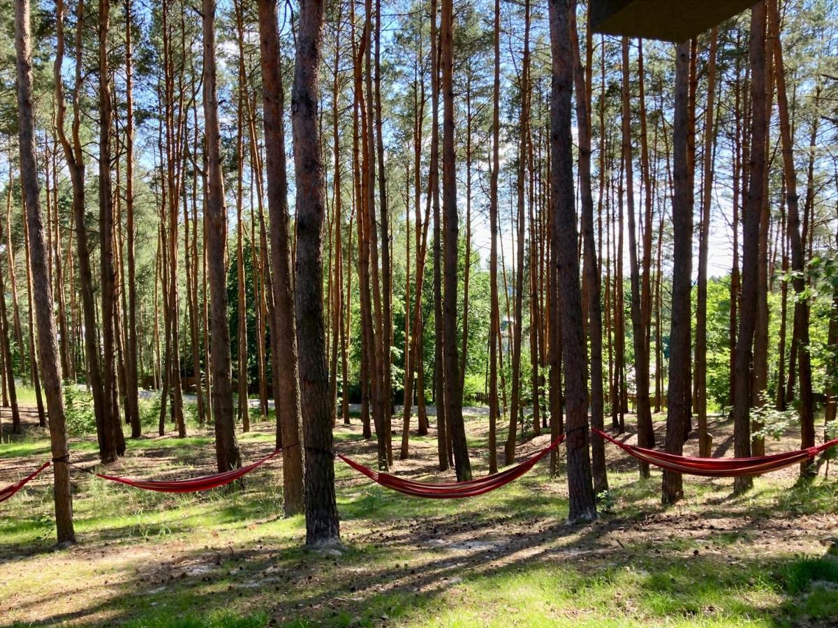 Gora Spokoju Osada Klimatyczna-Lesna Inowlodz Exterior foto